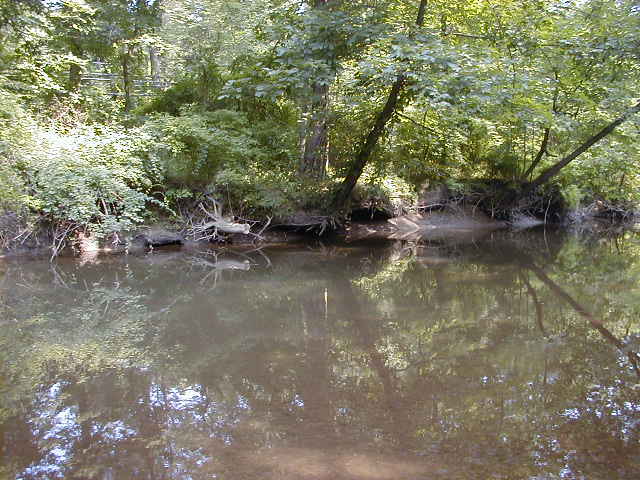 FC09-1_07_21_04-003.JPG 61.9K