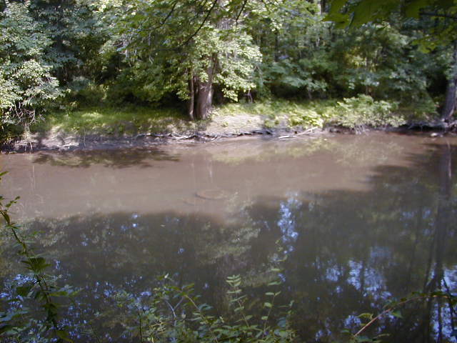 FC09-1_07_21_04-005.JPG 58.7K