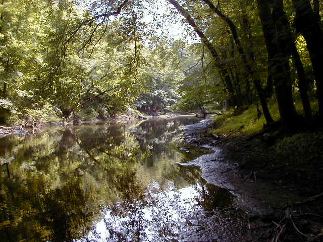 FC09-1_07_21_04-006.JPG 62.0K