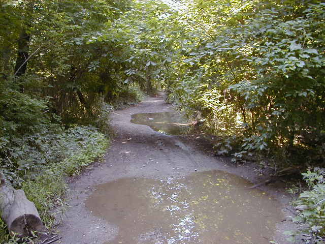 FC09-1_07_21_04-008.JPG 61.7K