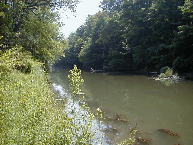 FC09-2_07_21_04-004.JPG 62.3K