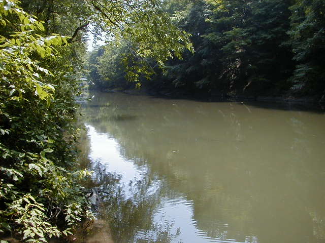 FC09-2_07_21_04-005.JPG 61.6K