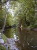 FC11_07_04_04-009.JPG 59.8K