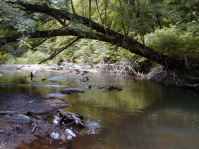 FC11_07_04_04-003.JPG 63.3K