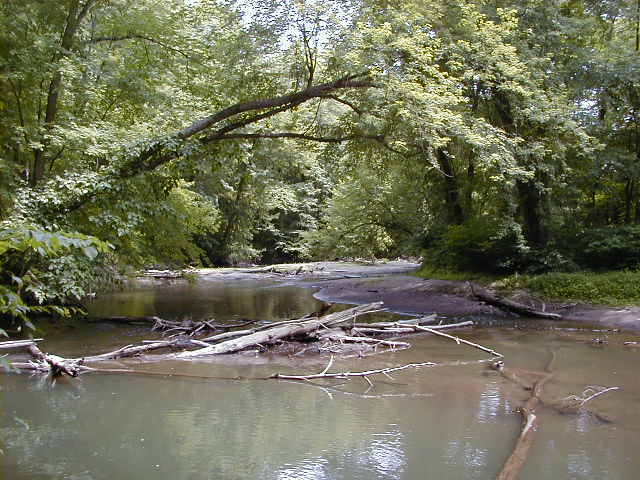 FC11_07_04_04-004.JPG 62.3K
