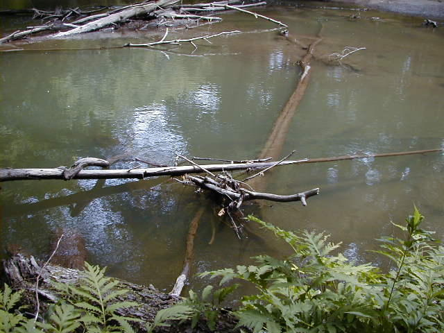 FC11_07_04_04-005.JPG 61.4K