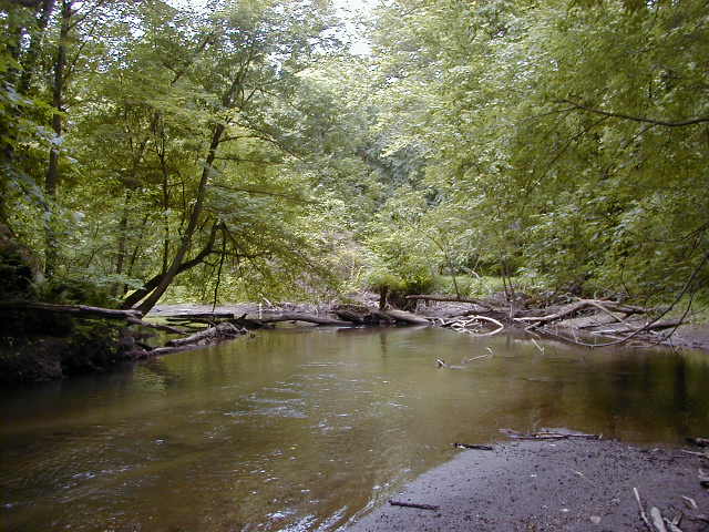 FC11_07_04_04-006.JPG 62.2K