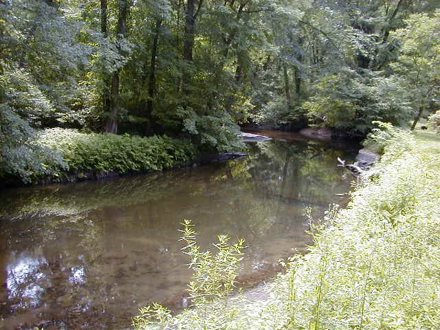 FC11_07_04_04-008.JPG 62.0K