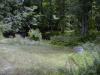FC13_Imp-D_07_09_04-003.JPG 61.8K