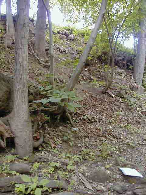 FC13_Imp-A_07_09_04-002.JPG 62.2K