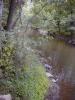 FC13_07_09_04-007.JPG 56.1K