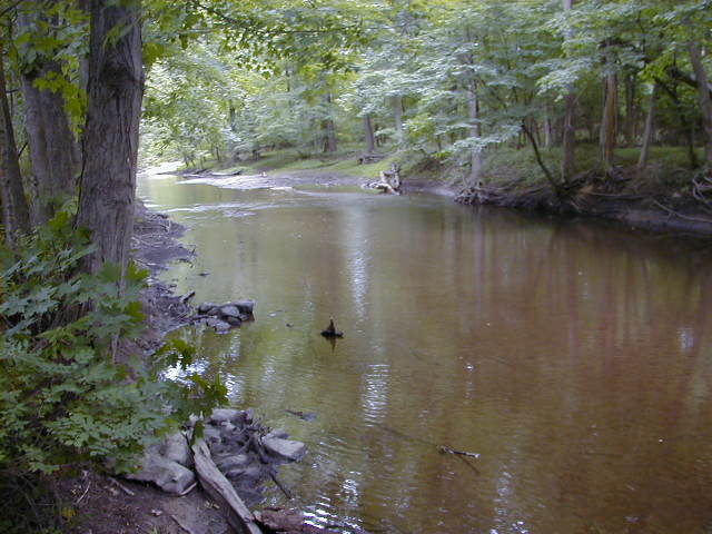 FC13_07_09_04-003.JPG 58.8K