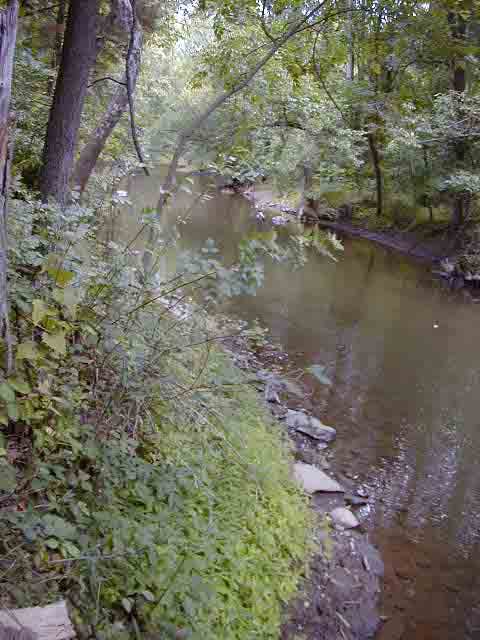 FC13_07_09_04-007.JPG 56.1K