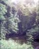 FC14-1_06_24_04-010.jpg 64.1K