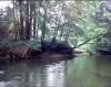 FC14-1_06_24_04-036.jpg 62.8K