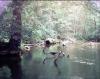 FC14-1_06_24_04-040.jpg 48.2K