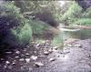 FC14-2_05_21_04-004.jpg 68.4K