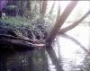 FC14-2_05_21_04-013.jpg 45.8K