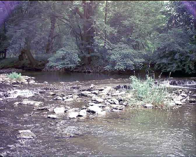 FC14-2_05_21_04-003.jpg 61.7K