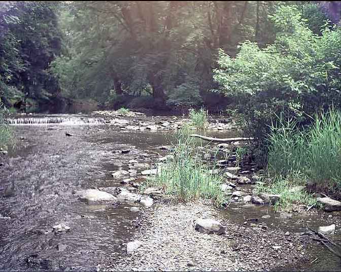 FC14-2_05_21_04-005.jpg 71.3K