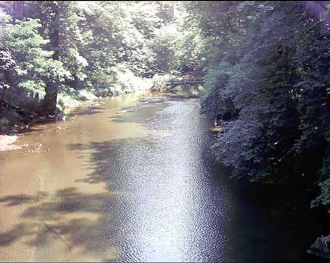 FC14-2_05_21_04-018.jpg 53.9K