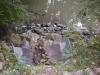 FC15_07_24_04-002.JPG 62.1K