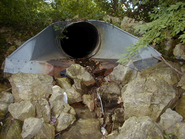 FC15_07_24_04-001.JPG 61.9K