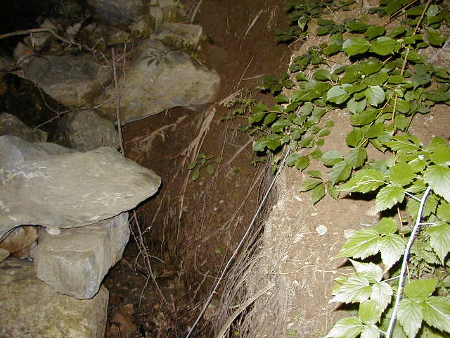 FC15_07_24_04-009.JPG 63.3K