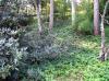 FC16_05_22_04-004.jpg 87.2K