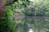 FC16_05_22_04-008.jpg 46.4K