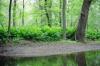 FC16_05_22_04-032.jpg 43.6K