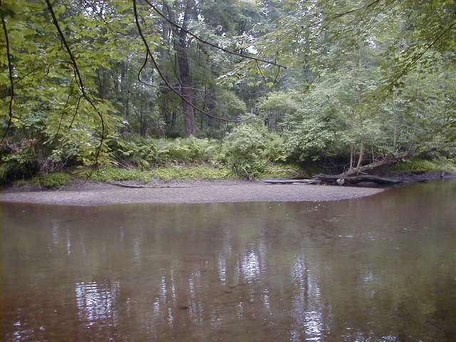 FC17_Imp-C_06_17_04-003.jpg 62.2K