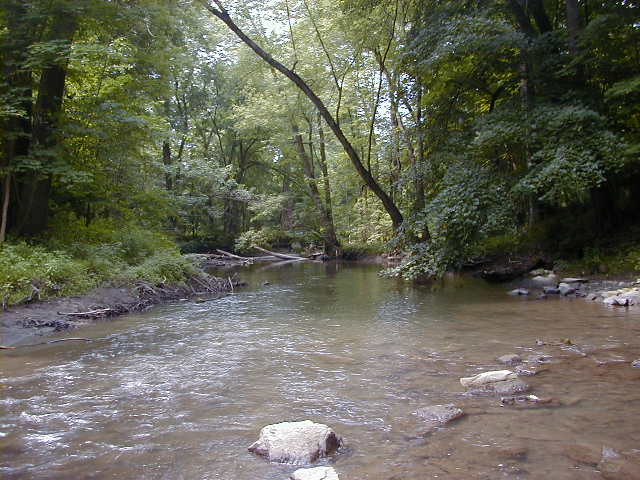 FC17_06_17_04-004.jpg 62.7K
