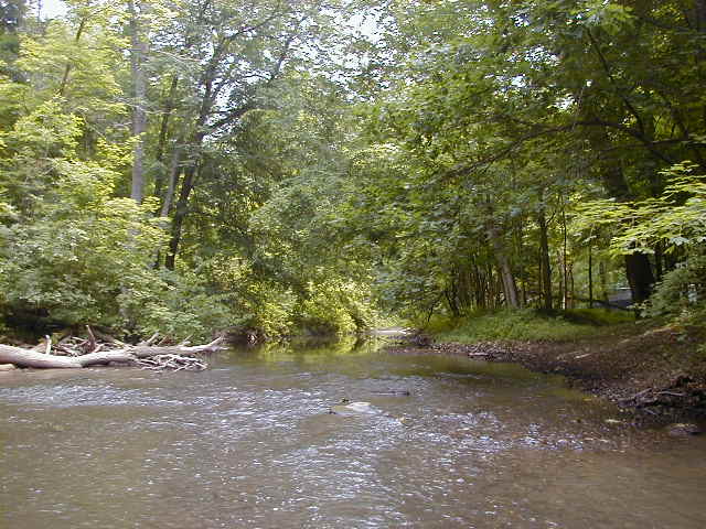 FC17_06_17_04-005.jpg 62.2K