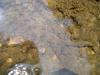 FC22-1_07_17_04-006.JPG 39.2K