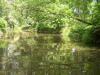 FC22-1_07_17_04-009.JPG 62.2K