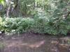 FC22-1_07_17_04-010.JPG 60.6K
