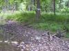 FC22-1_07_17_04-012.JPG 61.4K