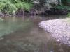 FC22-2_07_17_04-006.JPG 41.9K