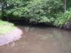 FC22-2_07_17_04-015.JPG 45.4K