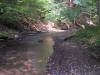FC22-3_07_21_04-003.JPG 51.4K