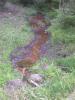 FC22-3_07_21_04-010.JPG 41.9K