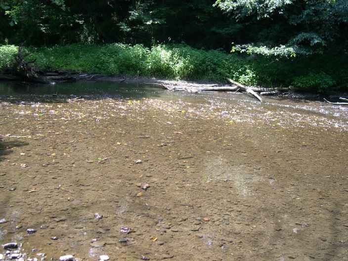 FC22-1_07_17_04-005.JPG 50.8K