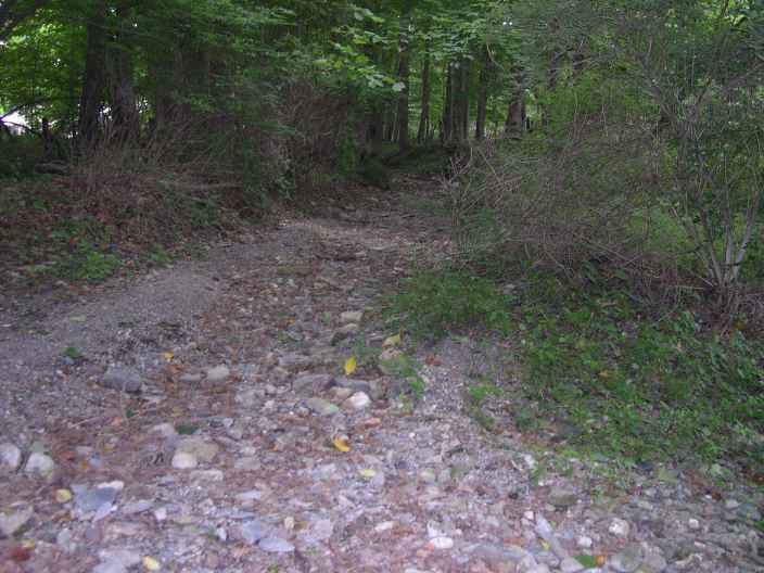 FC22-2_07_17_04-017.JPG 44.7K