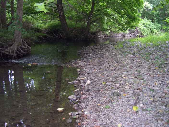 FC22-2_07_17_04-018.JPG 51.4K