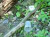 08_16_04-000004.jpg 93.8K
