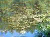 08_16_04-000007.jpg 124.2K