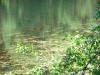 08_16_04-000009.jpg 111.3K