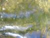 08_16_04-000014.jpg 70.3K