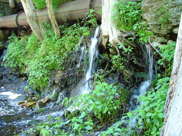 08_16_04-000001.jpg 158.6K